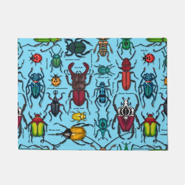 Beetles on blue doormat (Front)