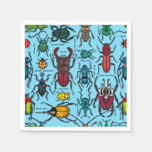 Beetles on blue napkin