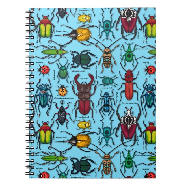 Beetles on blue notebook (Front)