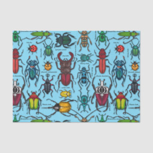 Beetles on blue tissue paper