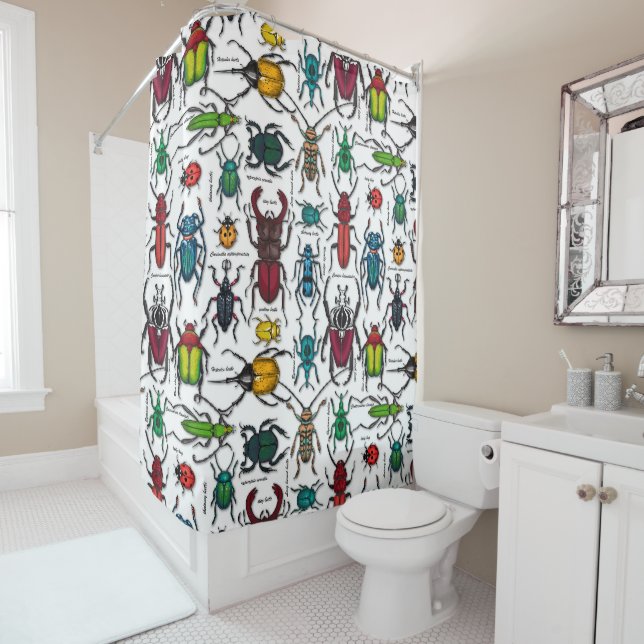 Beetles on white (In Situ)