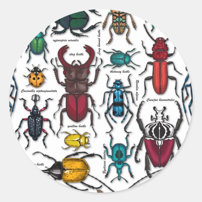 Beetles on white classic round sticker (Front)