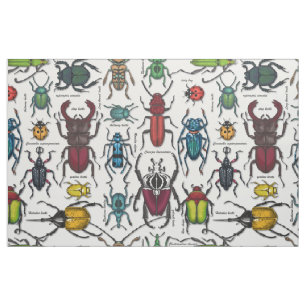 Beetles on white fabric