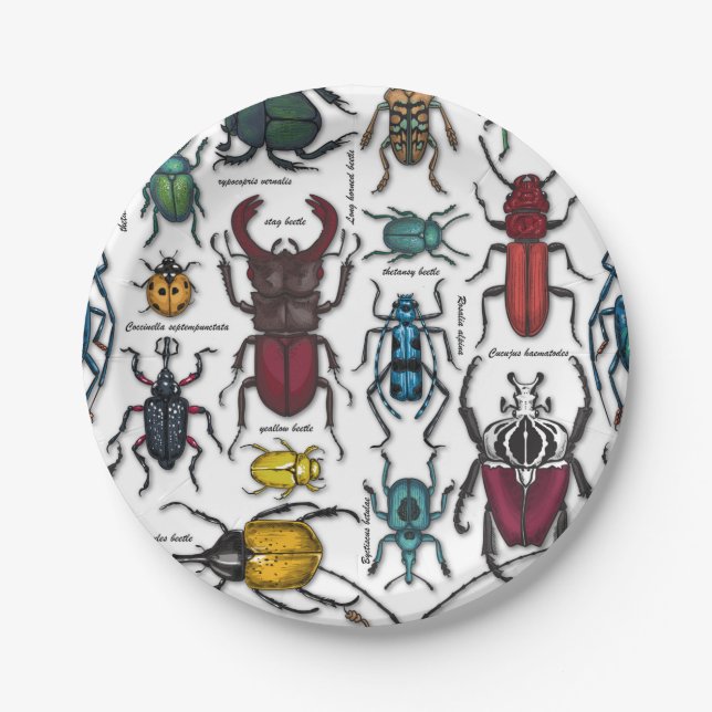 Beetles on white paper plate (Front)