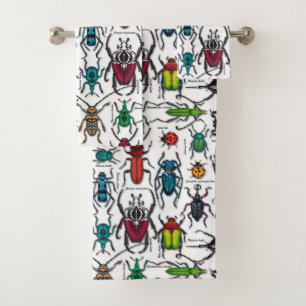 Beetons sur blanc