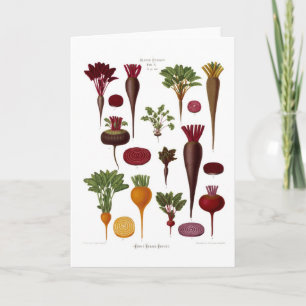 Beets Card