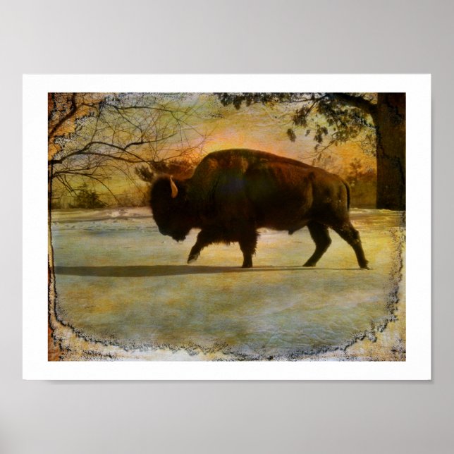 Befalling the Earth Poster (Front)