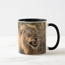 Before and After Coffee LION Personalize Name