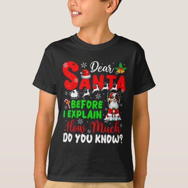 Before I Explain How Much You Know Xmas Papillon O T-Shirt (Front)