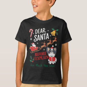 Before I Explain How Much You Know Xmas Papillon O T-Shirt