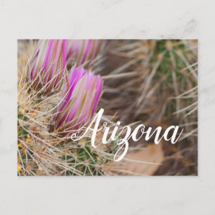 Before the blooms, Arizona Postcard