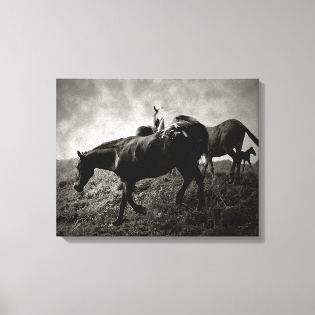 Before the Storm Wrapped Canvas (Front)