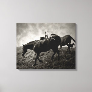 Before the Storm Wrapped Canvas