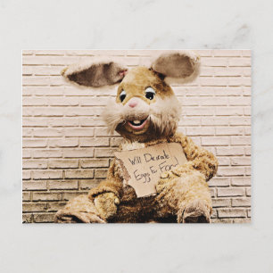 Beggar Bunny,Rabbit Suit, Funny Postcard