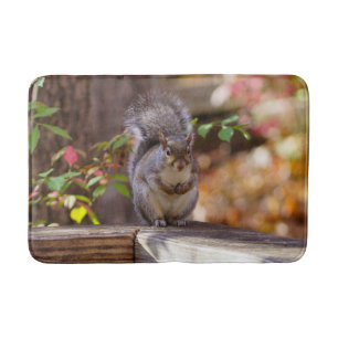 Begging Squirrel Bath Mat
