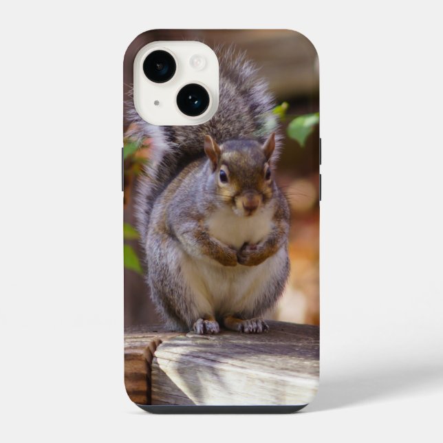 Begging Squirrel iPhone Case (Back)