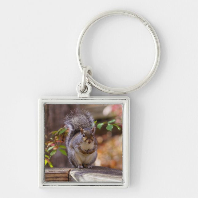 Begging Squirrel Keychain (Front)