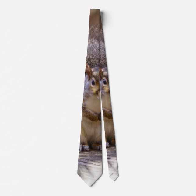 Begging Squirrel Neck Tie (Front)