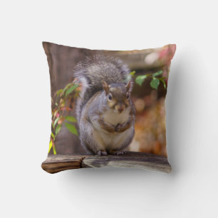 Begging Squirrel Throw Pillow