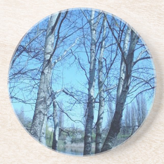 begining spring coaster (Front)