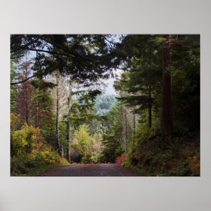 Beginnings of Fall Poster