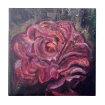 Begonia 1947 Ansel Adams Inspired