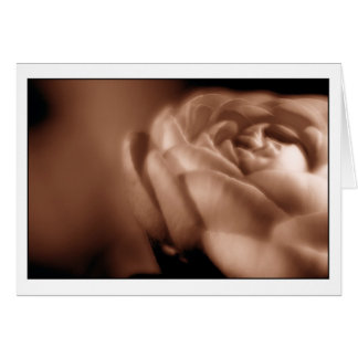 Bégonia 2 de sépia