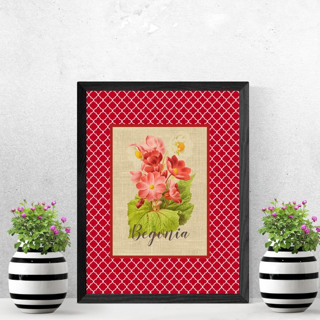 Begonia Botanical and Quatrefoil   Poster (Creator Uploaded)
