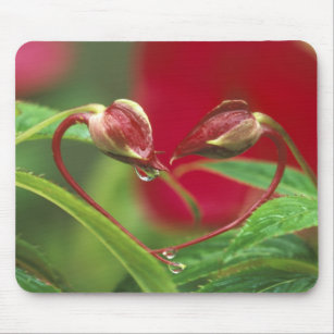 Begonia Buds in heart shape with drops . Credit Mouse Pad