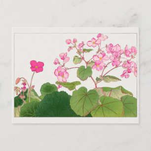 Begonia by Tanigami Konan Postcard