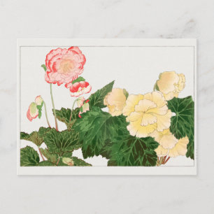 Begonia by Tanigami Konan Postcard