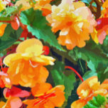 BEGONIA FLOWERS iPad PRO COVER<br><div class="desc">A pretty watercolor of yellow and pink begonias.</div>