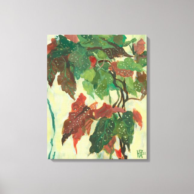 Begonia Maculata Home Garden Plant Floral Painting Canvas Print (Front)