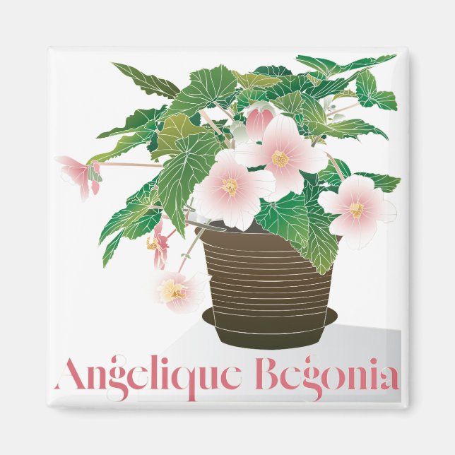 Begonia Magnet (Front)
