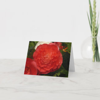 Begonia notecard