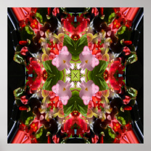 Begonia's in Love.... Poster
