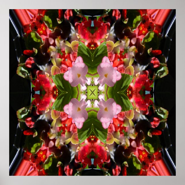Begonia's in Love.... Poster (Front)
