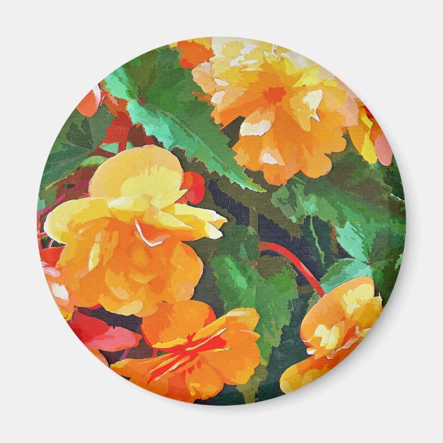 BEGONIAS MAGNET (Front)