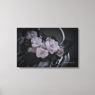 Begonias On Bench Garden Scene Gallery Canvas Print