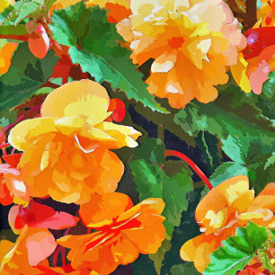 BEGONIAS TILE