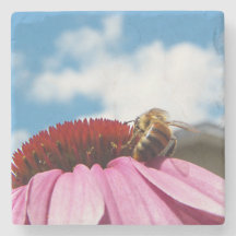 Behind the Bee