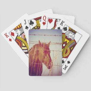 Behind the Fence Abstract Horse Playing Cards