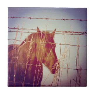Behind the Fence Abstract Horse Tile