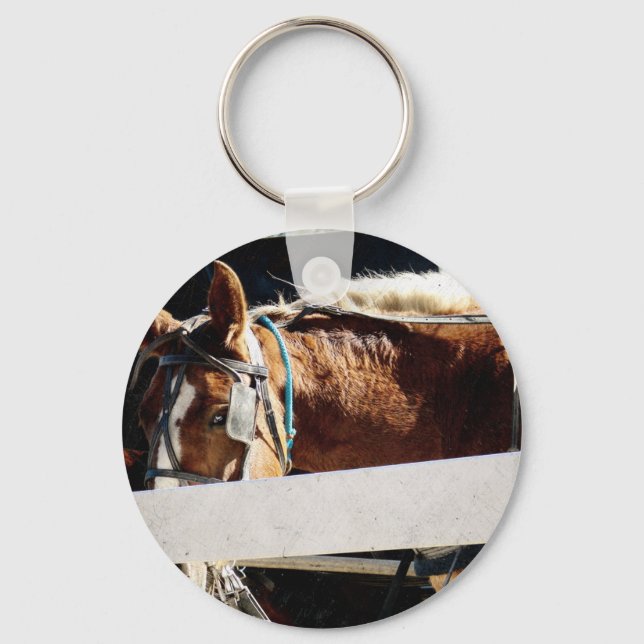 Behind the Fence Amish Horse Keychain (Front)