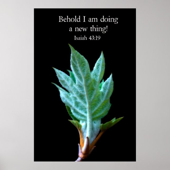 Behold I am doing new thing Poster (Front)