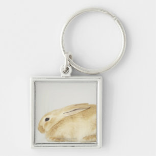 Beige bunny rabbit on white background 4 keychain