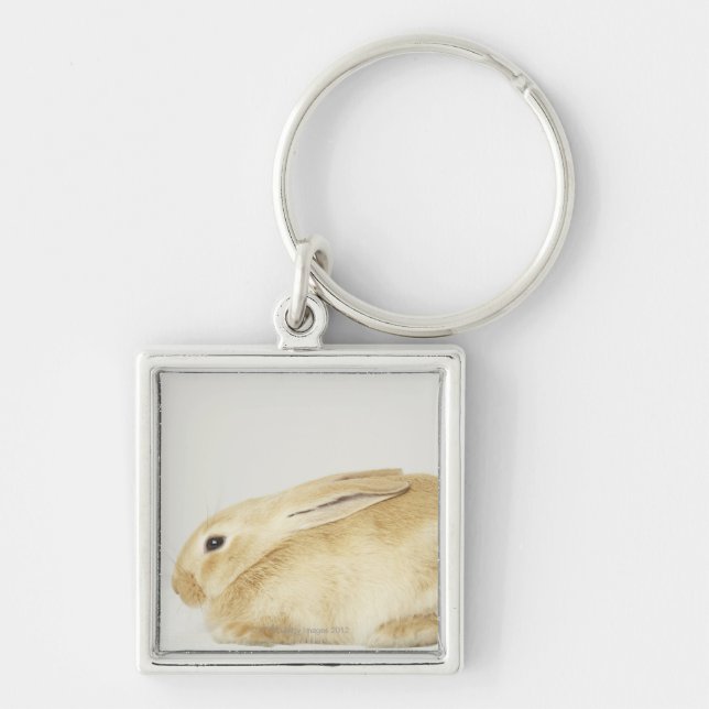 Beige bunny rabbit on white background 4 keychain (Front)