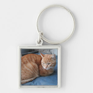 Beige Cat Keychain
