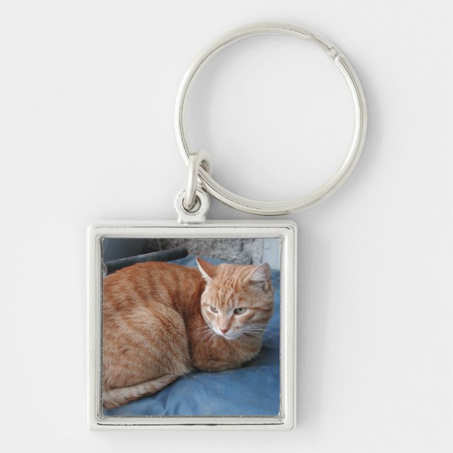 Beige Cat Keychain (Front)