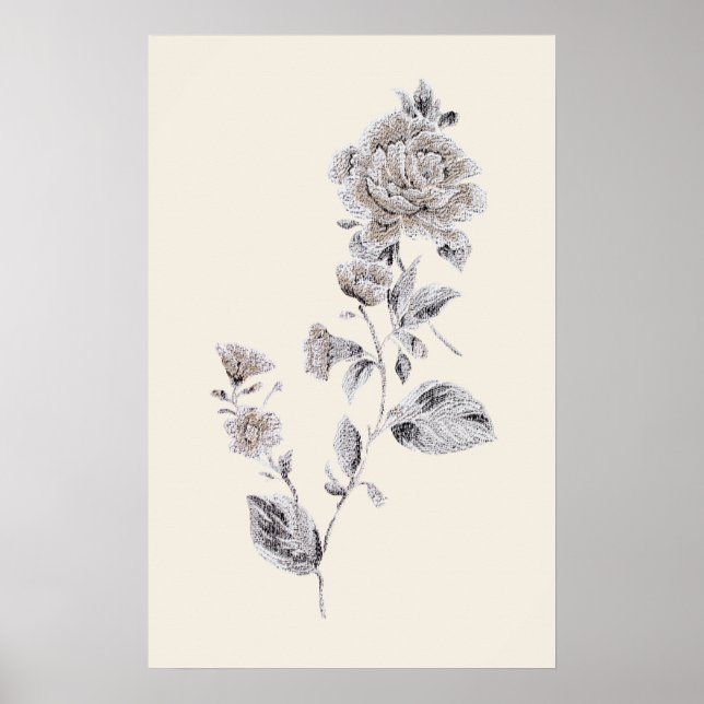 Beige rose poster (Front)